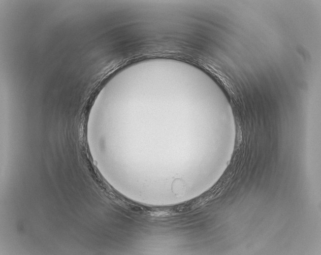 X0000115030309200912071054