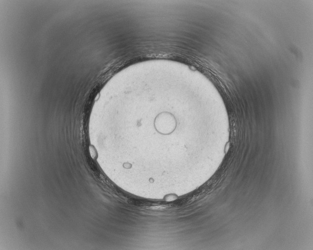 X0000115030312200912071054