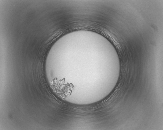 X0000115030313200912071054