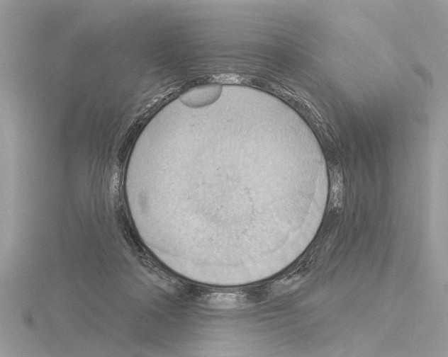 X0000115030314200912071054