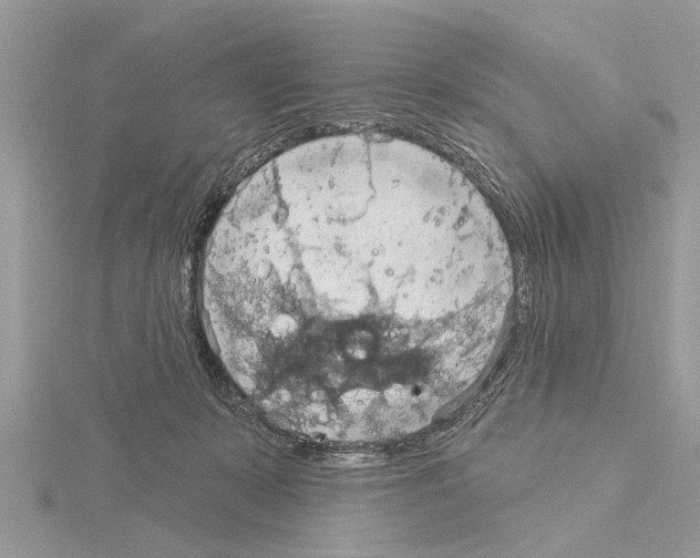 X0000115030319200912071054