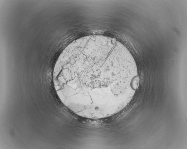 X0000115030321200912071054