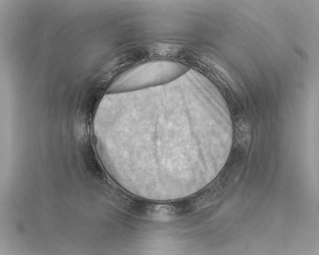 X0000115030324200912071054