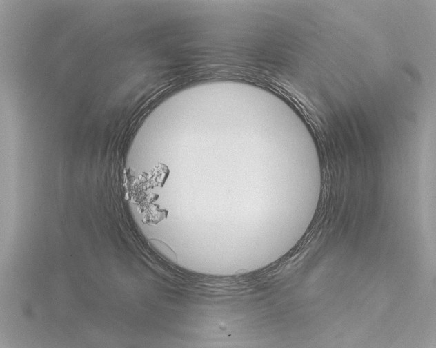 X0000115030325200912071054