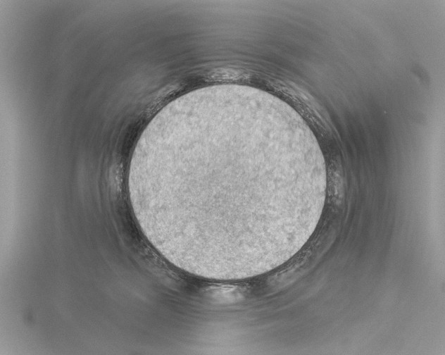 X0000115030326200912071054