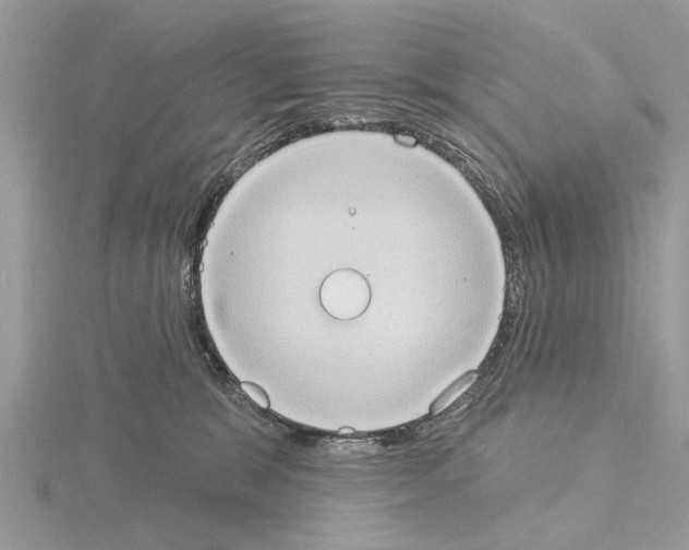 X0000115030327200912071054