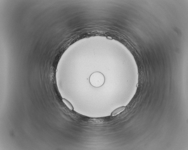 X0000115030328200912071054