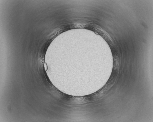 X0000115030329200912071054