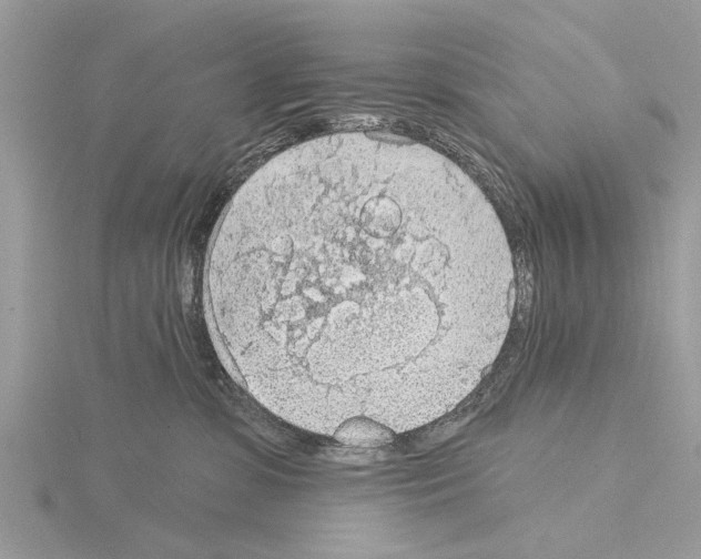 X0000115030331200912071054