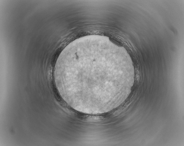 X0000115030332200912071054