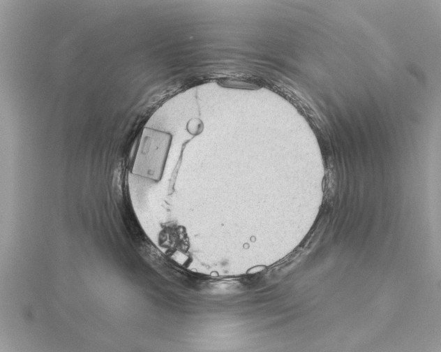 X0000115030333200912071054