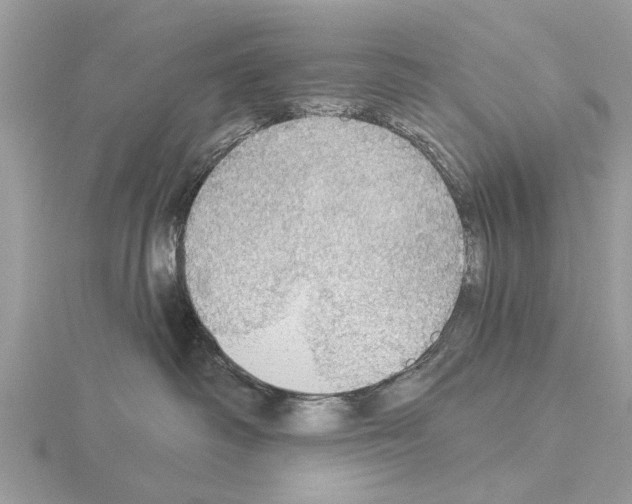 X0000115030334200912071054