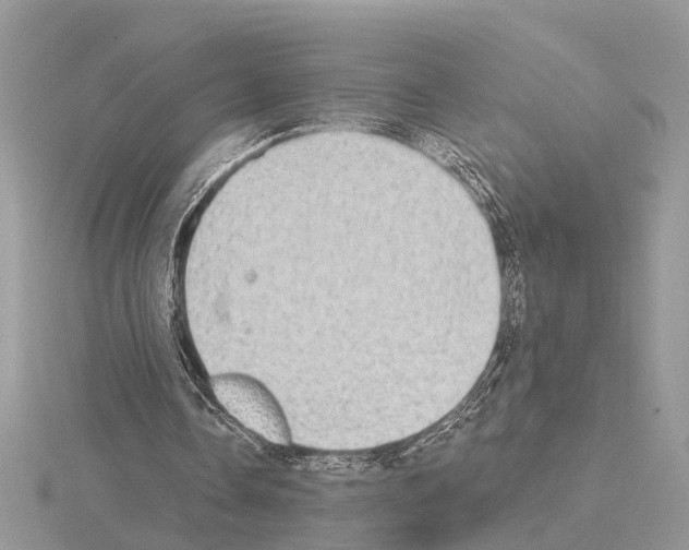 X0000115030338200912071053