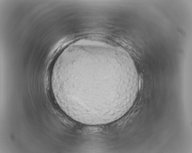 X0000115030339200912071053