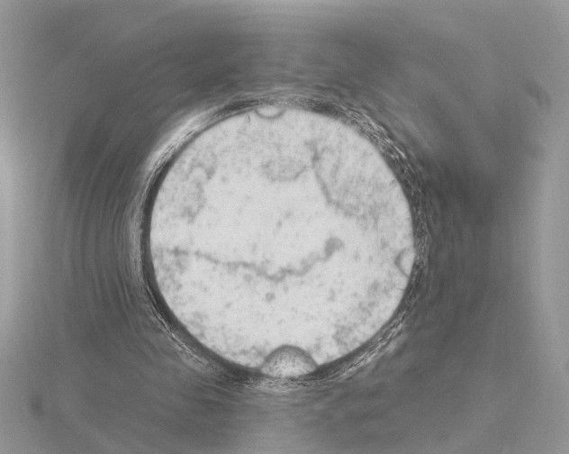 X0000115030341200912071053