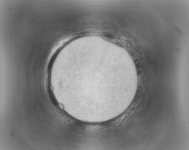 X0000115030342200912071053