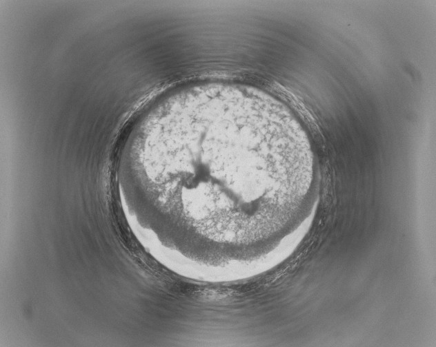 X0000115030346200912071053