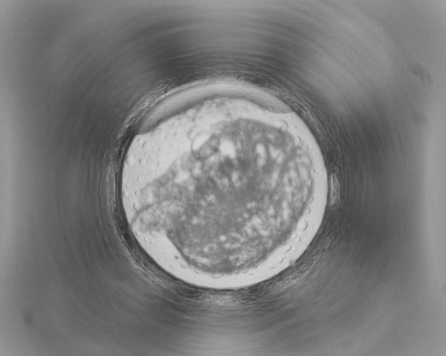 X0000115030349200912071053