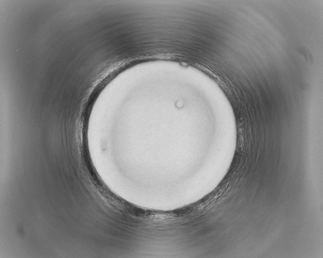 X0000115030350200912071053