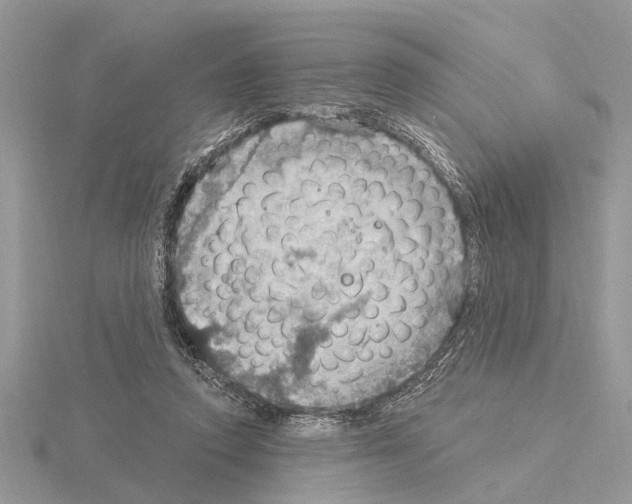 X0000115030354200912071053