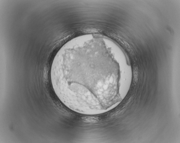 X0000115030359200912071053