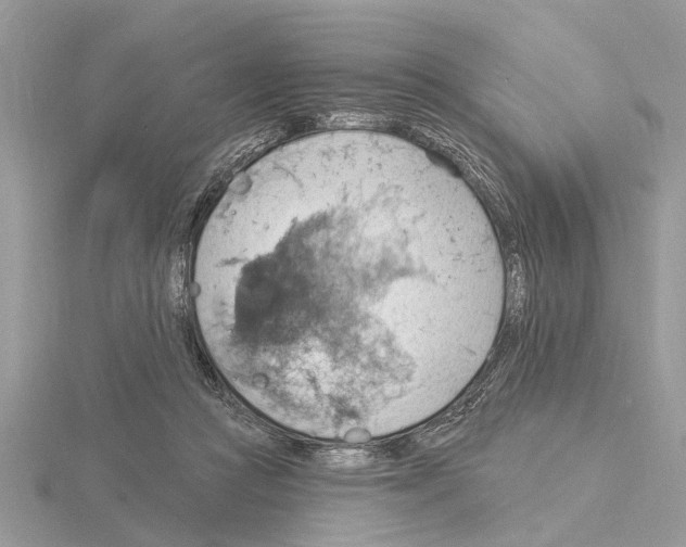 X0000115030361200912071053