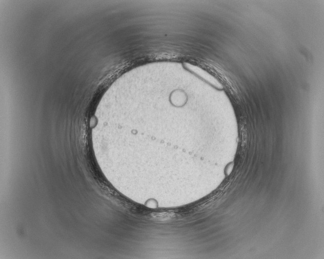 X0000115030362200912071053