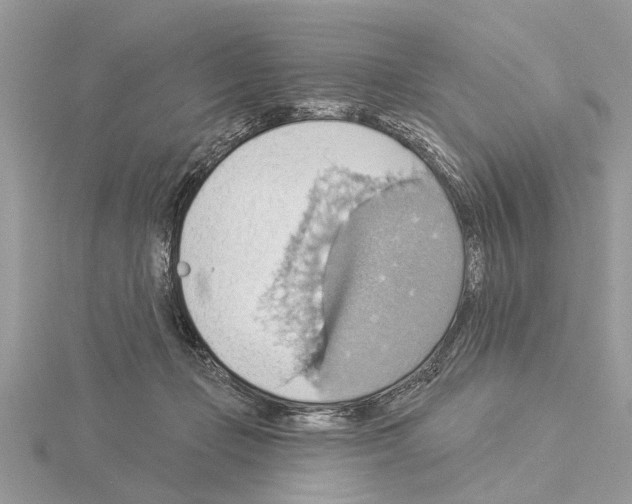 X0000115030365200912071053