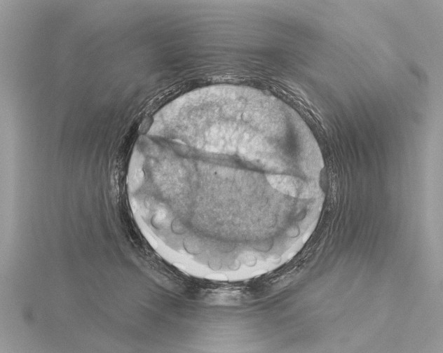 X0000115030366200912071053