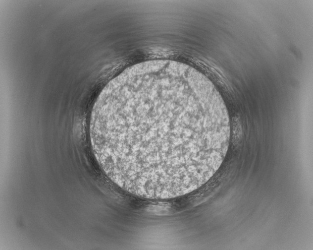 X0000115030369200912071053