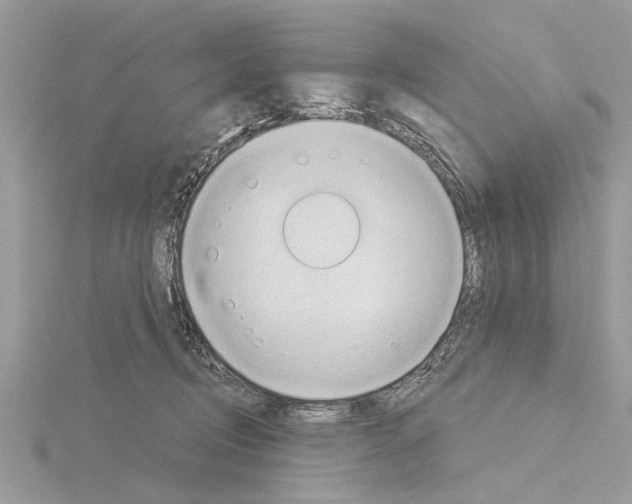 X0000115030370200912071053