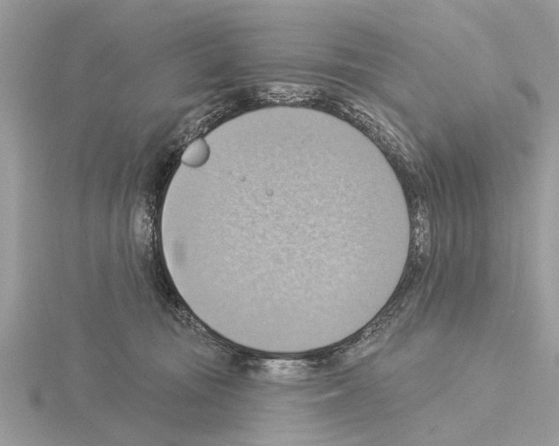 X0000115030371200912071053