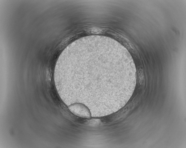 X0000115030374200912071053