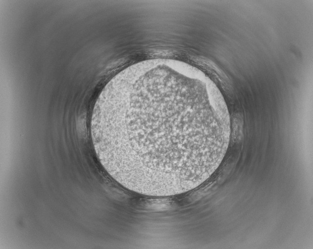 X0000115030377200912071053