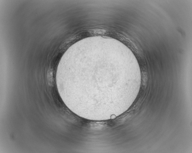 X0000115030378200912071053