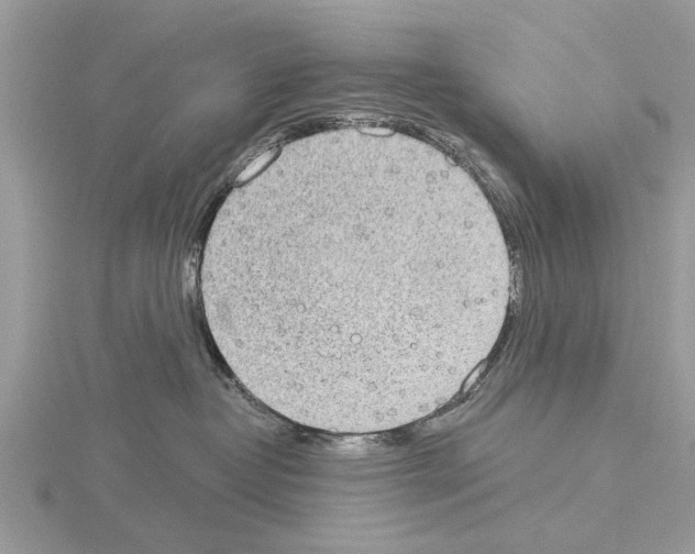 X0000115030382200912071053