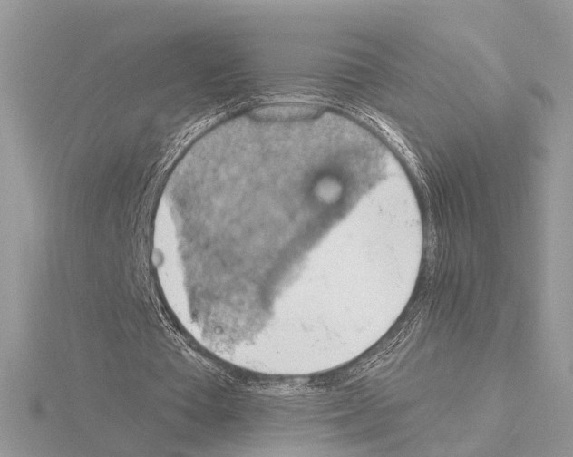 X0000115030385200912071053