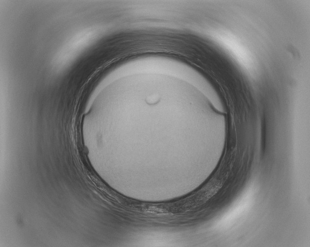 X0000115030387200912071053