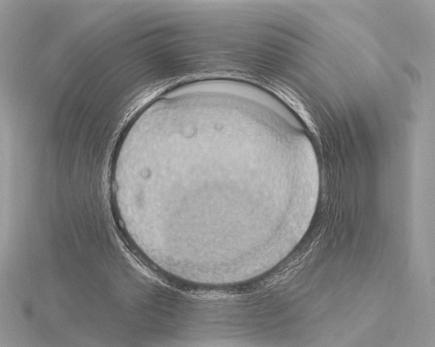 X0000115030389200912071053