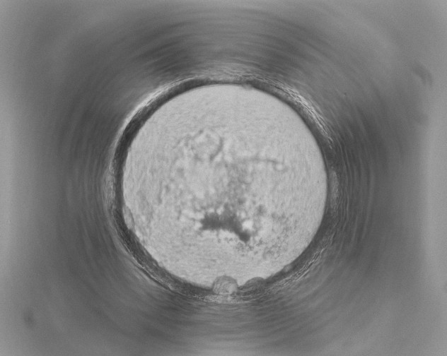 X0000115030392200912071053