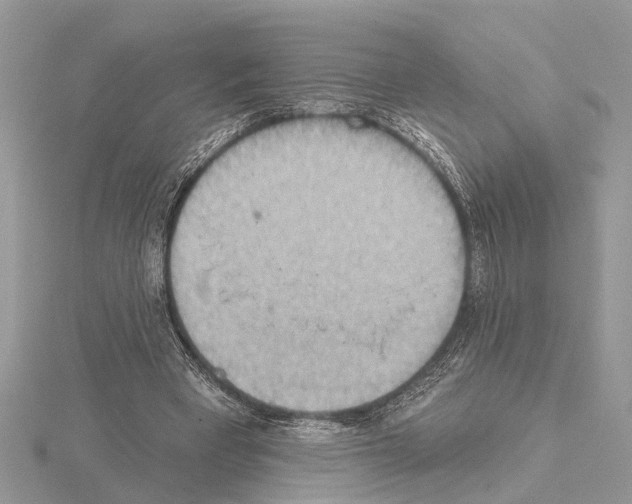 X0000115030393200912071053