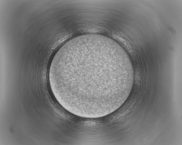 X0000115030394200912071053