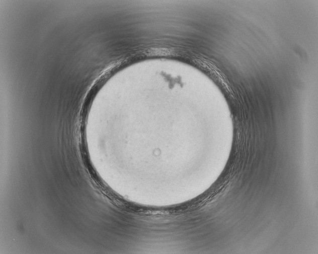 X0000115030395200912071053