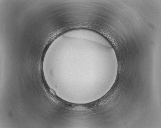 X0000115030397200912071053