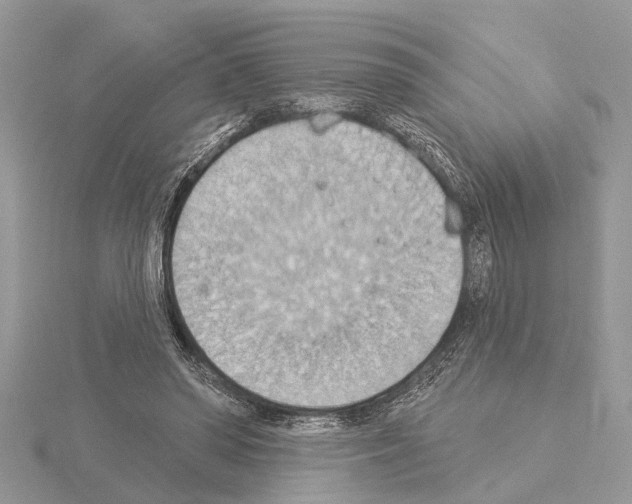 X0000115030398200912071053