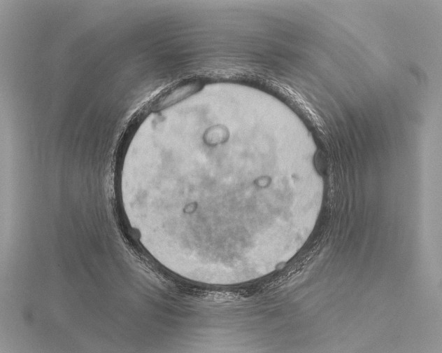 X0000115030399200912071053