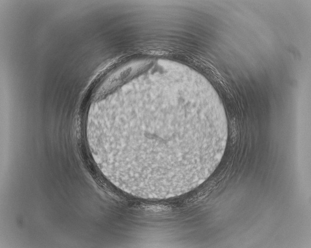 X0000115030400200912071053