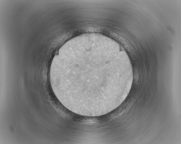 X0000115030402200912071053