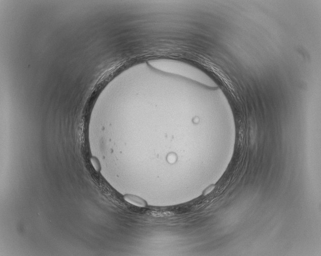 X0000115030403200912071053