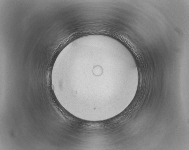 X0000115030405200912071053